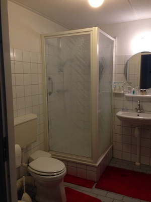 Badkamer voor verbouwing (2)