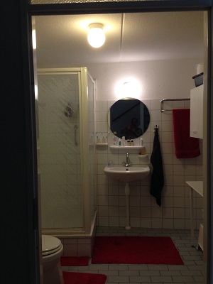 Badkamer voor verbouwing (3)